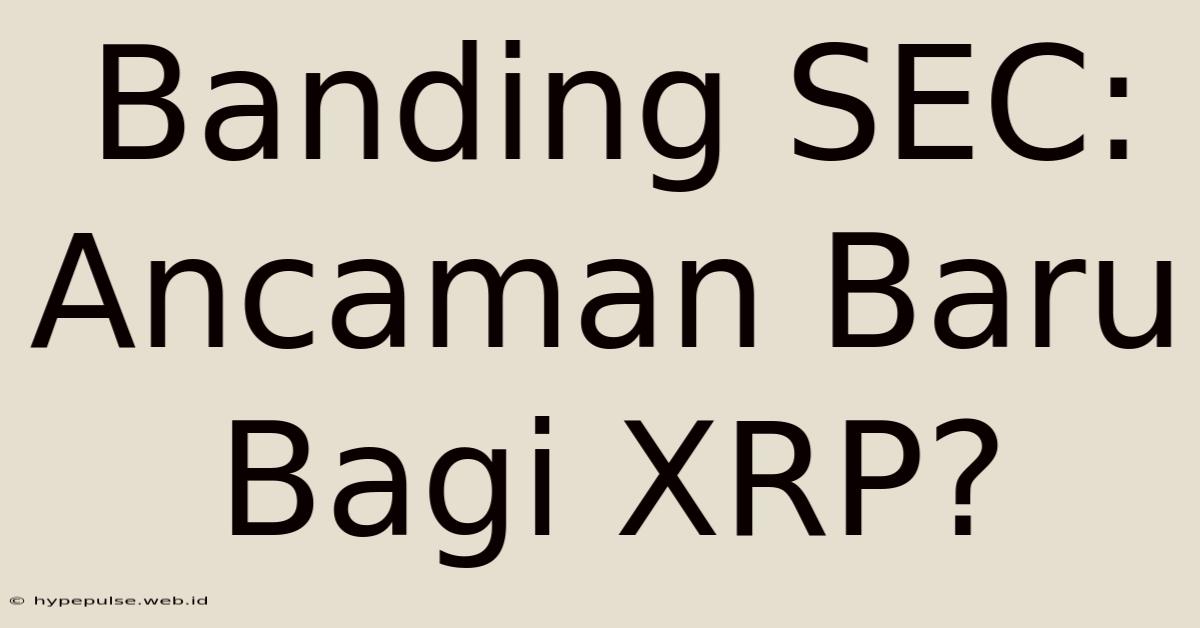 Banding SEC: Ancaman Baru Bagi XRP?