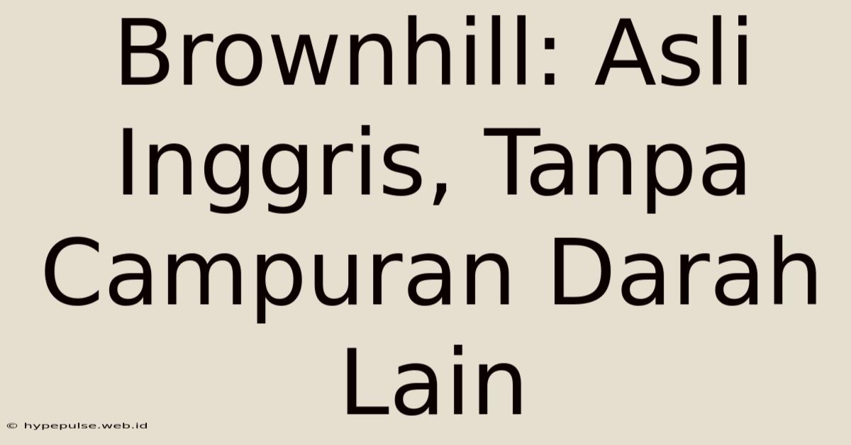 Brownhill: Asli Inggris, Tanpa Campuran Darah Lain