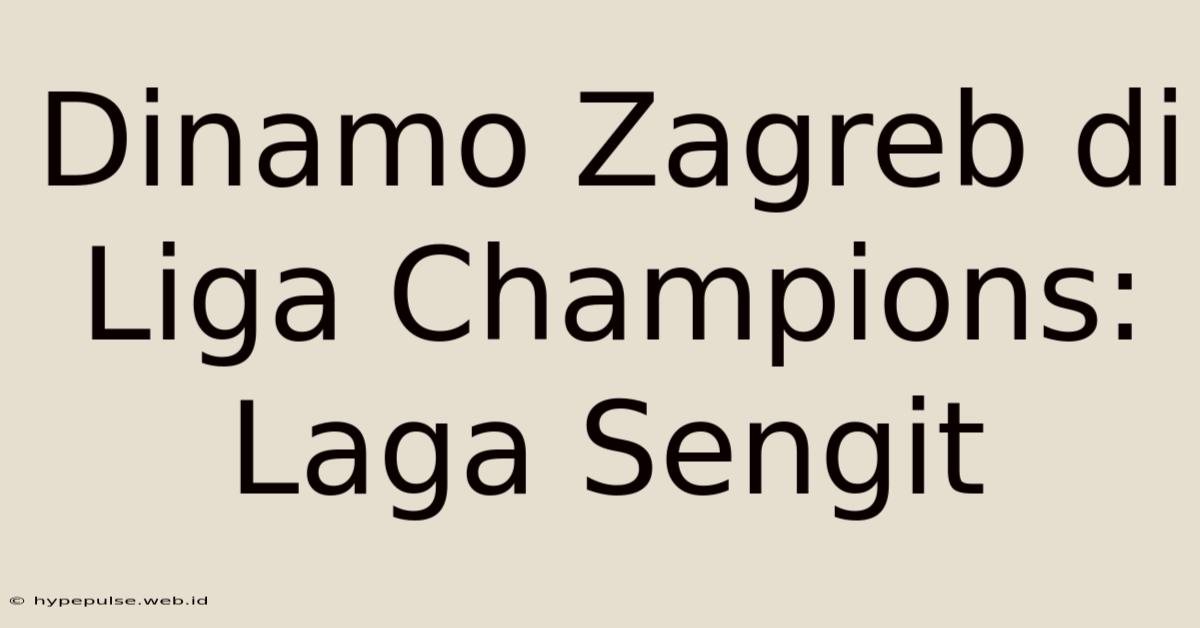 Dinamo Zagreb Di Liga Champions: Laga Sengit