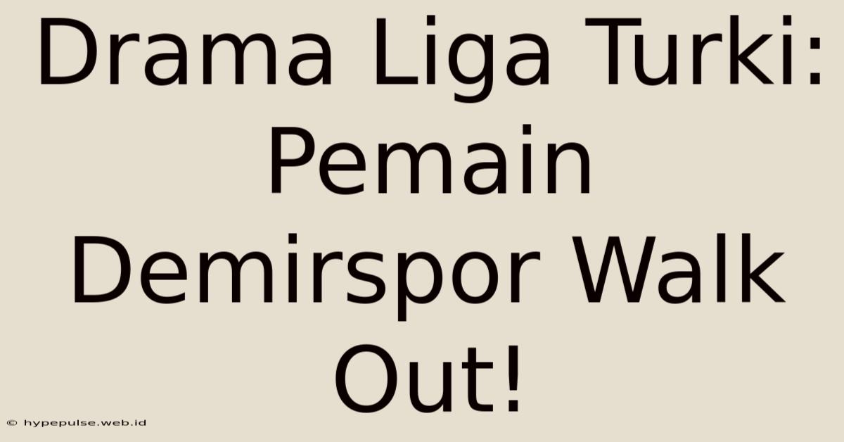 Drama Liga Turki: Pemain Demirspor Walk Out!