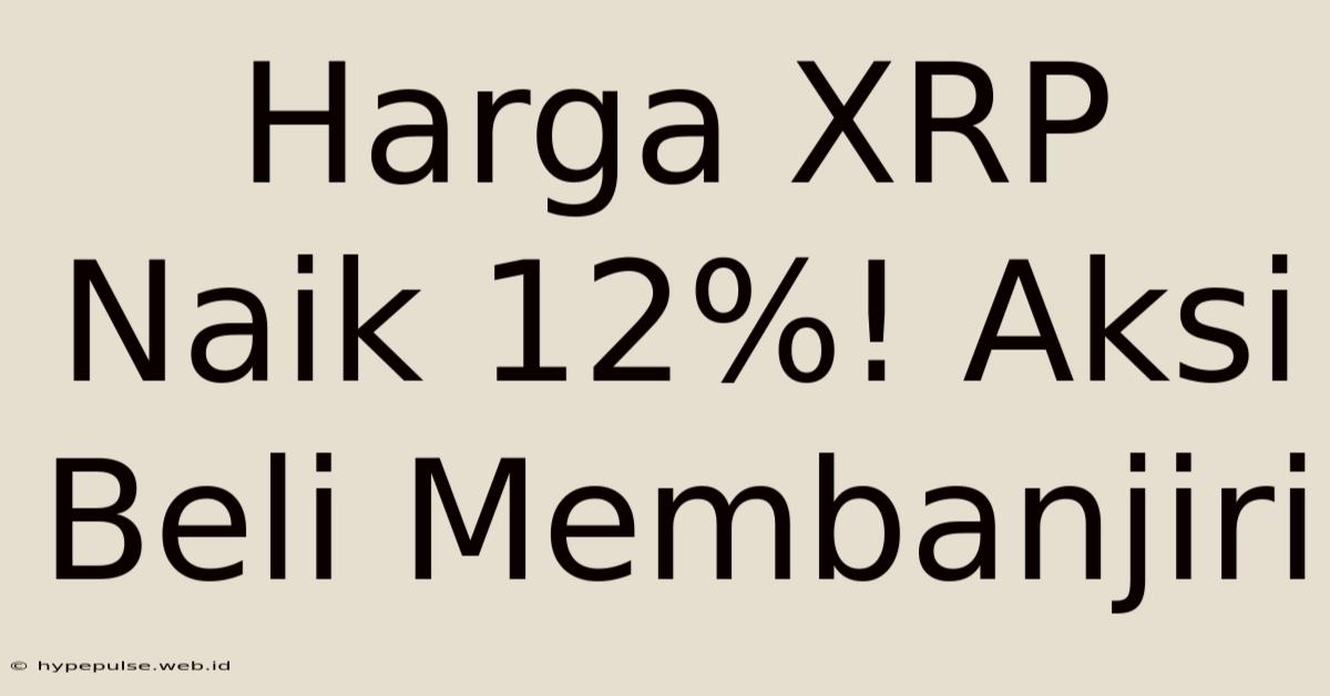 Harga XRP Naik 12%! Aksi Beli Membanjiri