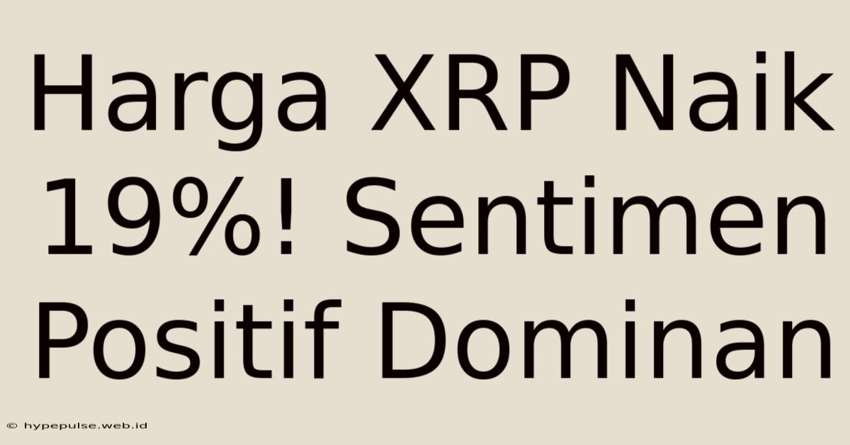 Harga XRP Naik 19%! Sentimen Positif Dominan