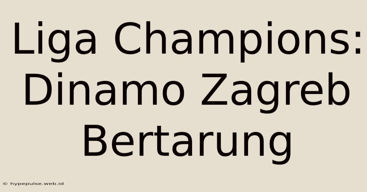 Liga Champions: Dinamo Zagreb Bertarung