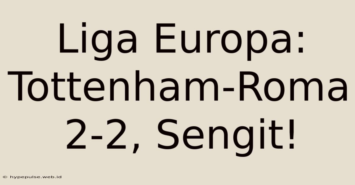 Liga Europa: Tottenham-Roma 2-2, Sengit!