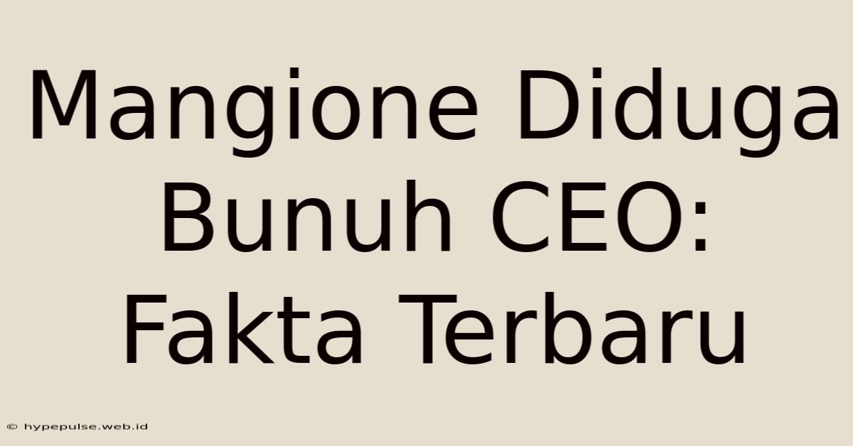 Mangione Diduga Bunuh CEO: Fakta Terbaru