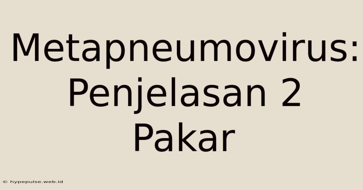 Metapneumovirus: Penjelasan 2 Pakar