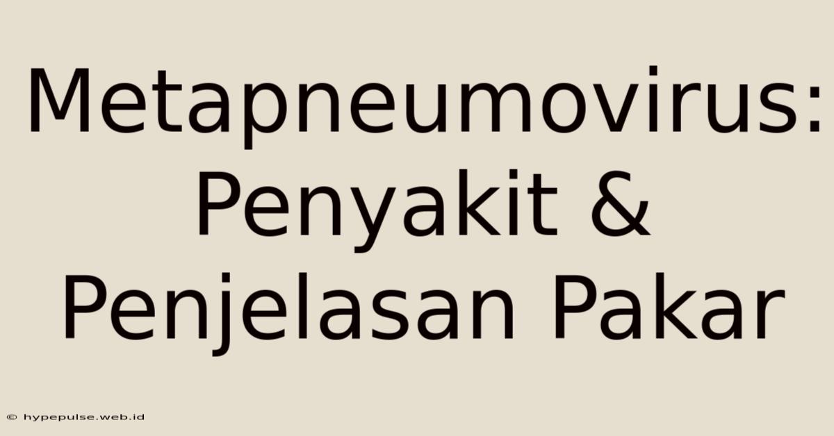 Metapneumovirus: Penyakit & Penjelasan Pakar