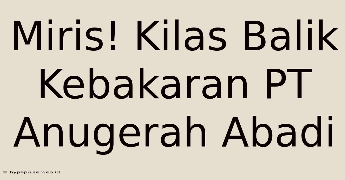 Miris! Kilas Balik Kebakaran PT Anugerah Abadi