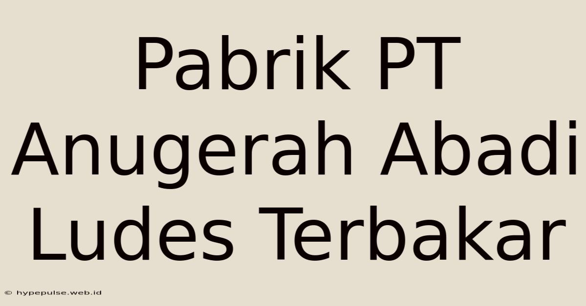 Pabrik PT Anugerah Abadi Ludes Terbakar