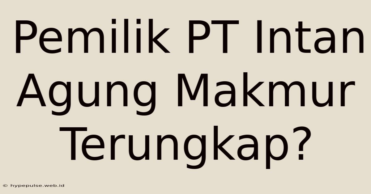 Pemilik PT Intan Agung Makmur Terungkap?