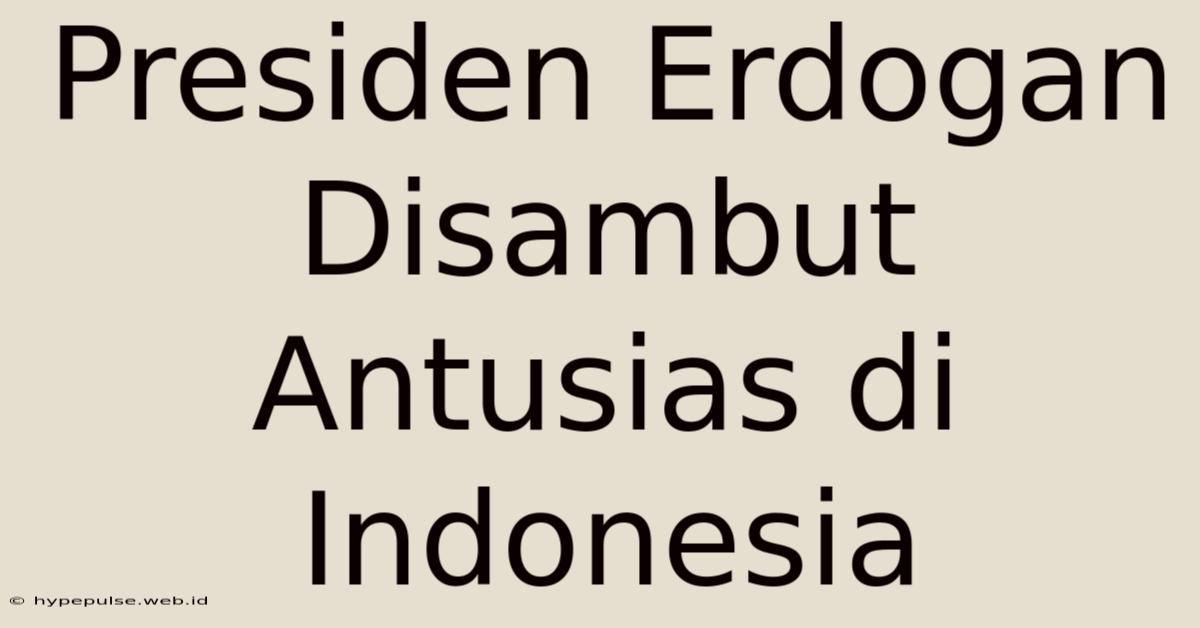 Presiden Erdogan Disambut Antusias Di Indonesia