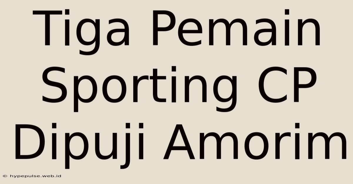 Tiga Pemain Sporting CP Dipuji Amorim