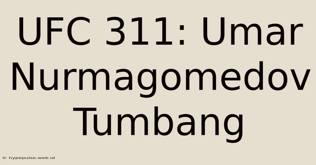 UFC 311: Umar Nurmagomedov Tumbang