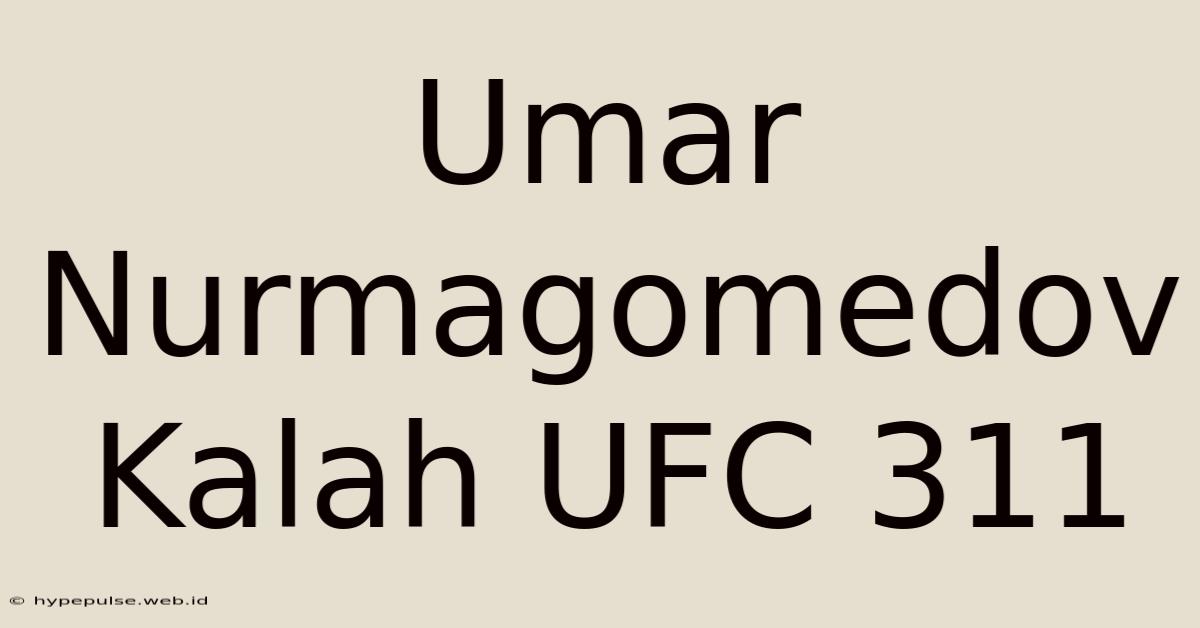 Umar Nurmagomedov Kalah UFC 311