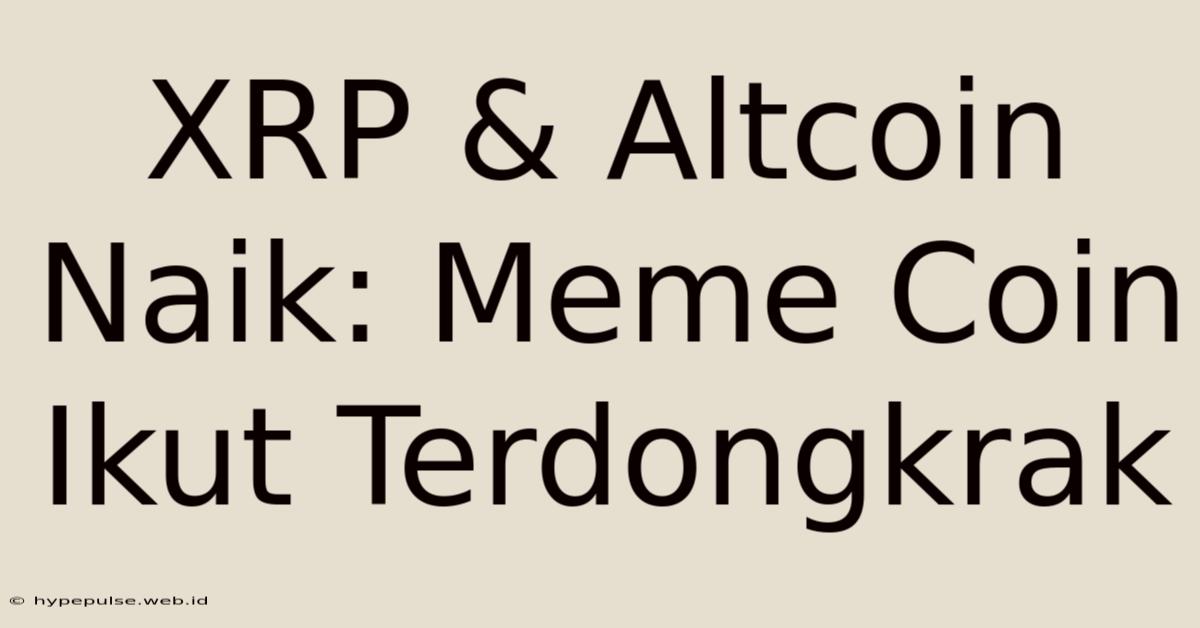 XRP & Altcoin Naik: Meme Coin Ikut Terdongkrak